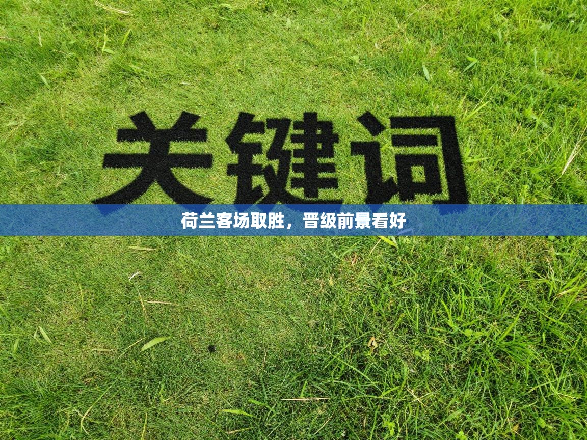 荷兰客场取胜,晋级前景看好 第1张