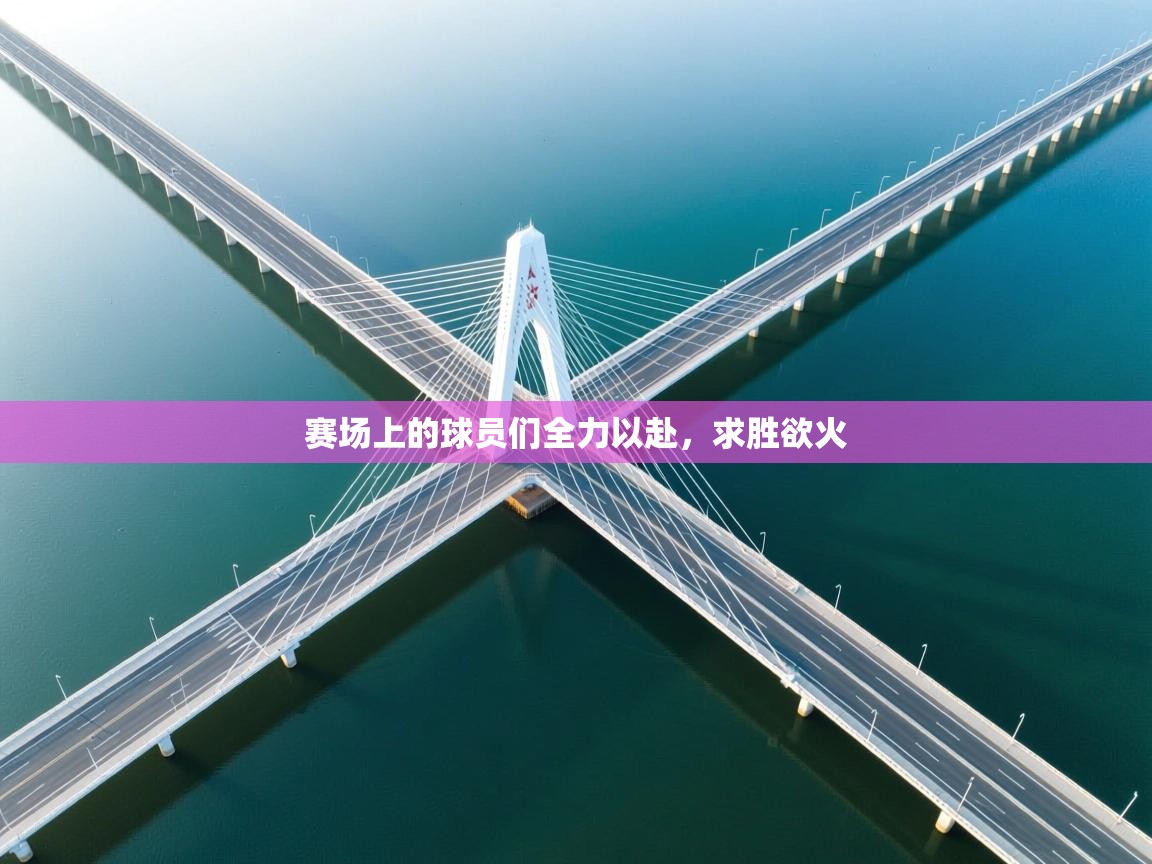 赛场上的球员们全力以赴,求胜欲火 第1张